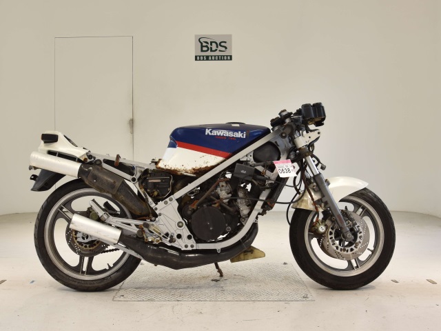 Kawasaki KR250