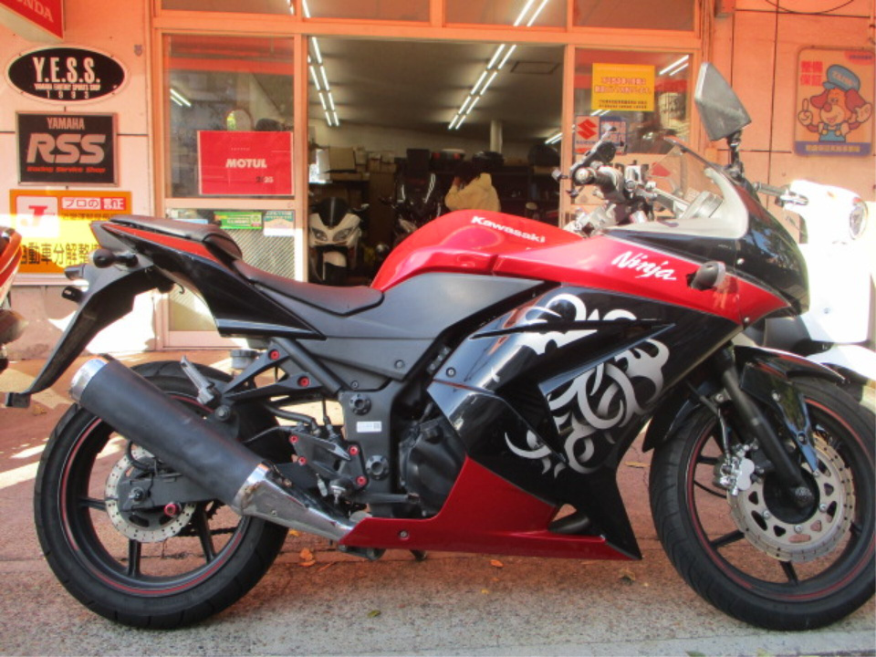 Kawasaki NINJA250R 2010