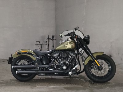 HD SLIM S FLSS1800 2016