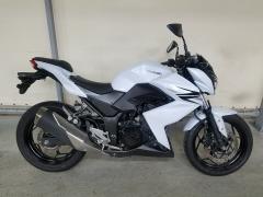 Kawasaki Z250 2013