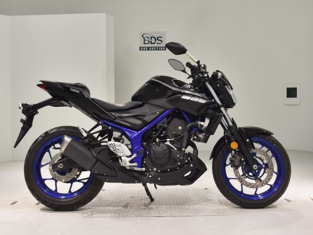 Yamaha MT-25 2019