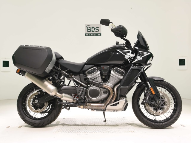 HD PAN AMERICA1250 S 2021