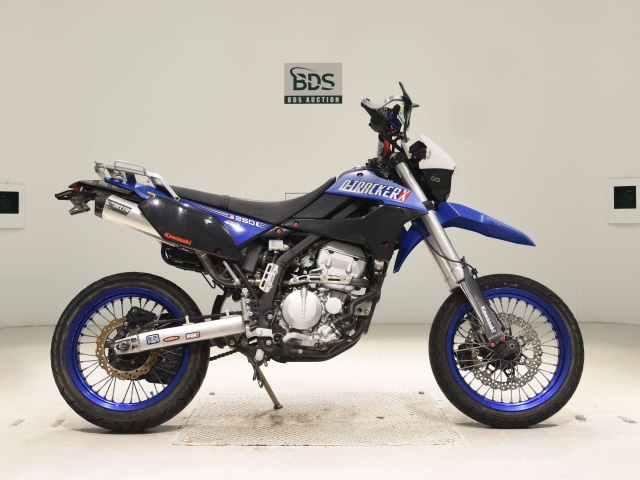 Kawasaki D-TRACKER250X 2008