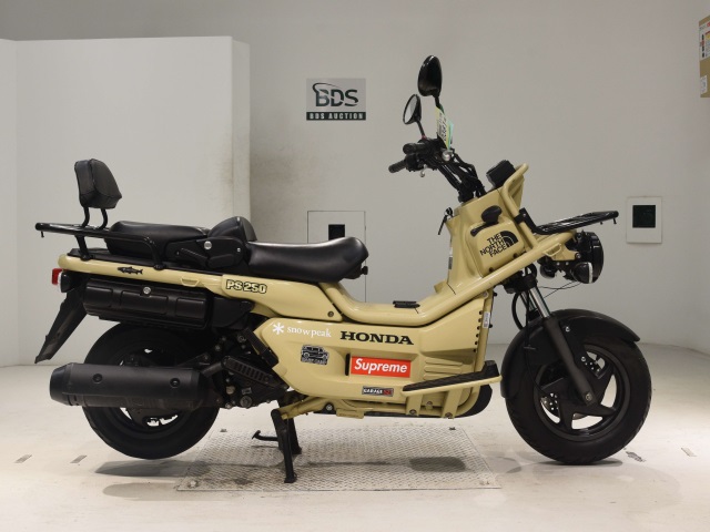 Honda PS250 BIG RUCKUS 2006