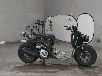 Honda ZOOMER 2009