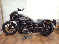 HD RH975 NIGHT STAR 2022