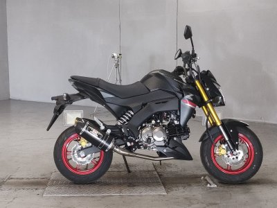 Kawasaki Z125 PRO 2021