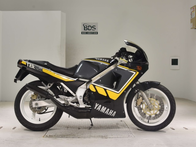 Yamaha TZR250