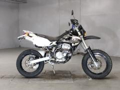 Kawasaki D-TRACKER250 2001