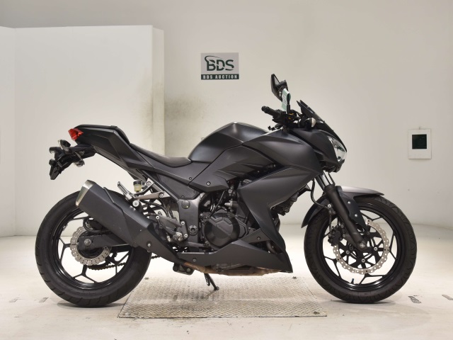 Kawasaki Z250 2013