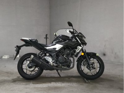 Yamaha MT-25 2016