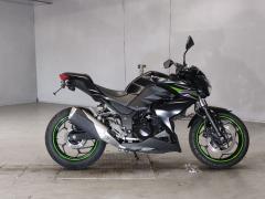 Kawasaki Z250 2013