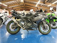 Kawasaki NINJA250 2022