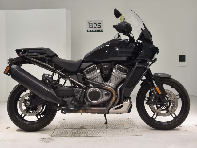 HD PAN AMERICA1250 S 2021