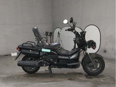 Honda PS250 BIG RUCKUS 2006