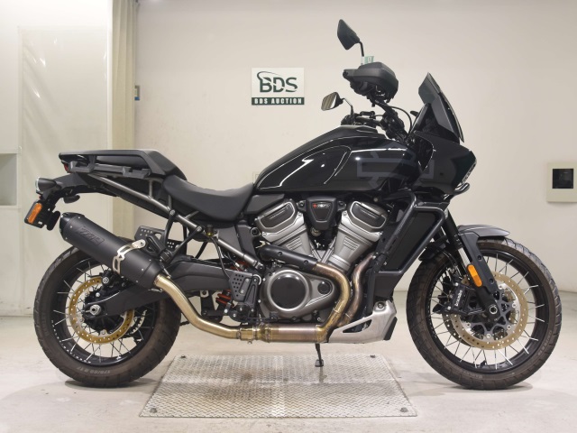 HD PAN AMERICA1250 S 2021