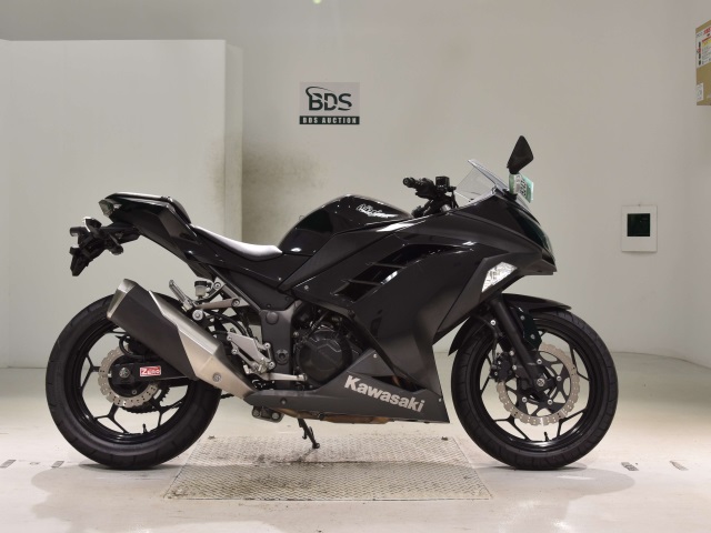 Kawasaki NINJA250 2013