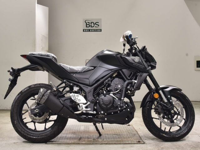 Yamaha MT-25 2022