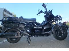 Honda PS250 BIG RUCKUS 2006