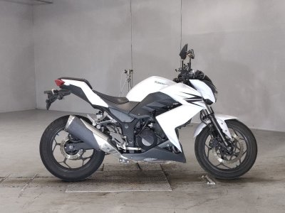 Kawasaki Z250 2013