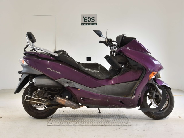 Honda FORZA Z 2008