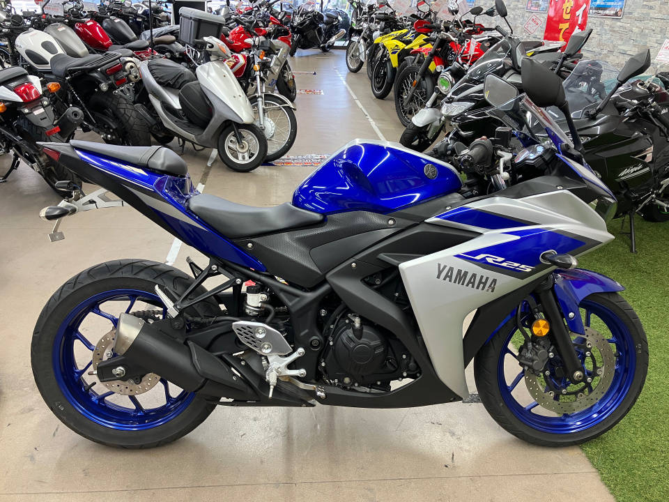 Yamaha YZF-R25