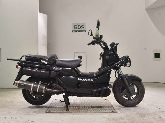 Honda PS250 BIG RUCKUS 2006