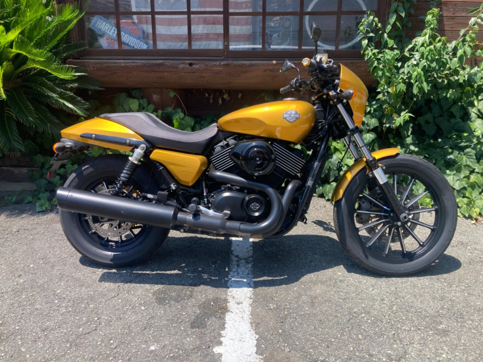 HD KIT BIKE 2015