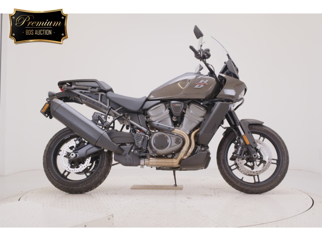 HD PAN AMERICA1250 2024