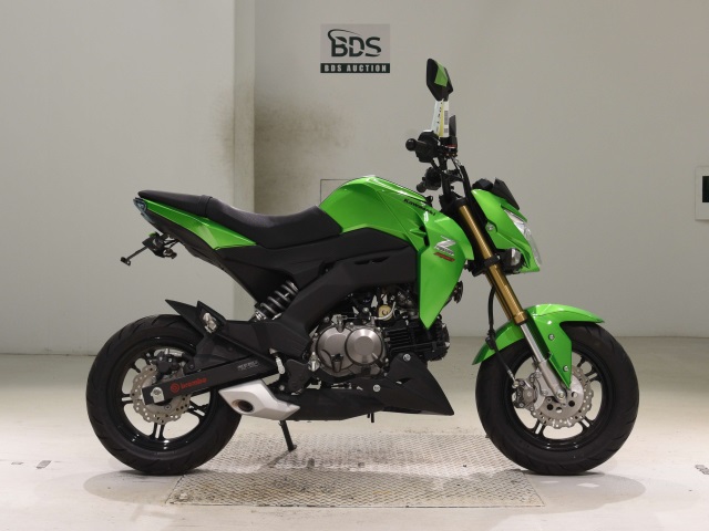 Kawasaki Z125 PRO 2016