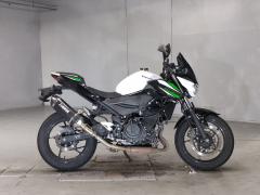 Kawasaki Z250 2019