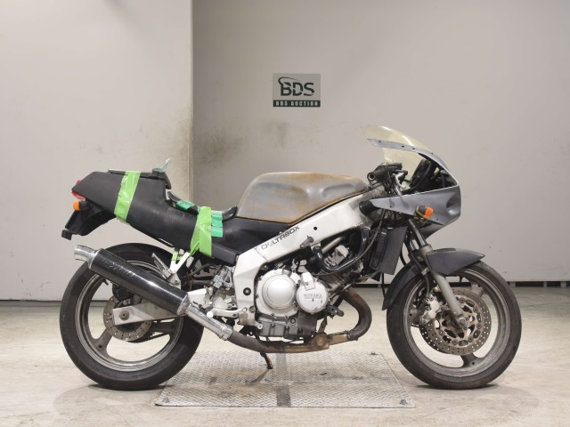 Yamaha FZR250 1989