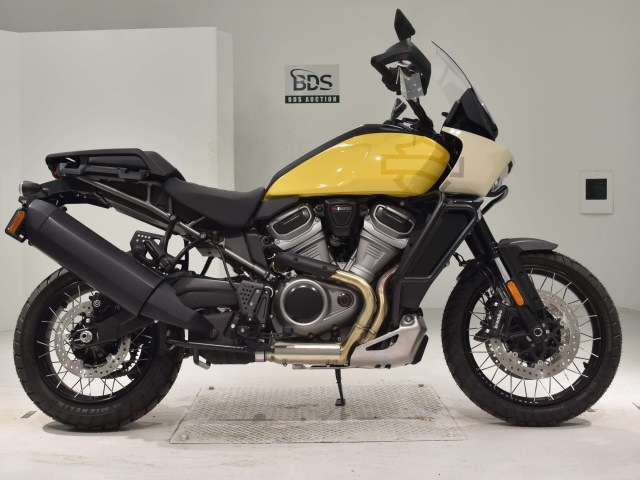 HD PAN AMERICA1250 S 2024