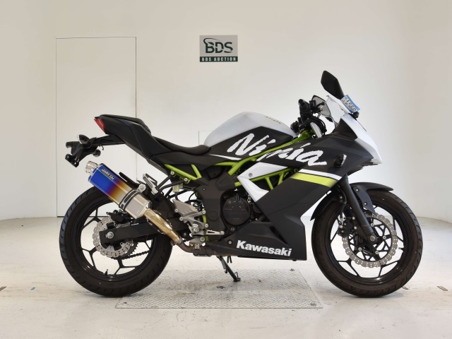 Kawasaki NINJA250 2020