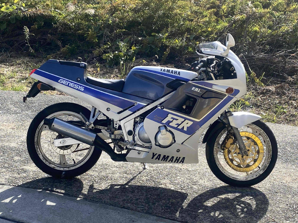 Yamaha FZR250