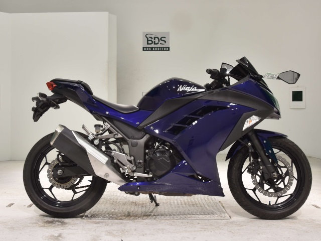 Kawasaki NINJA250 2015