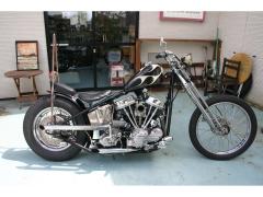 HD KIT BIKE 2022