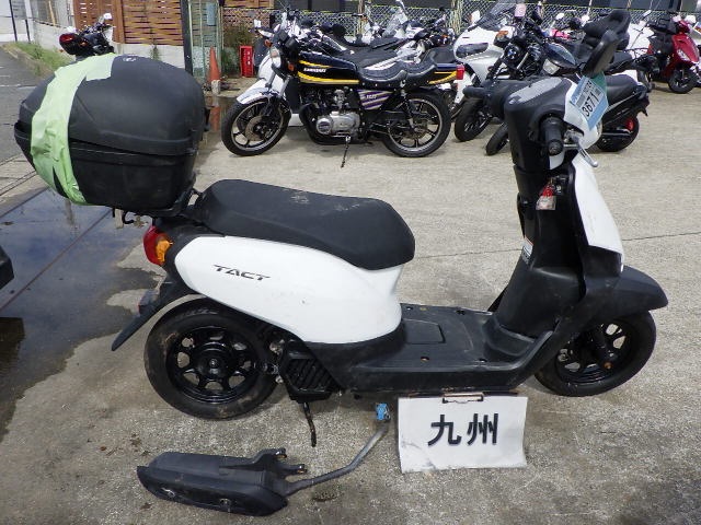 Honda TACT-4 BASIC 2024