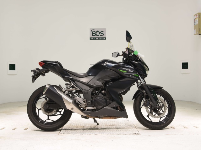 Kawasaki Z250 2013