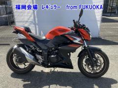 Kawasaki Z250 2014