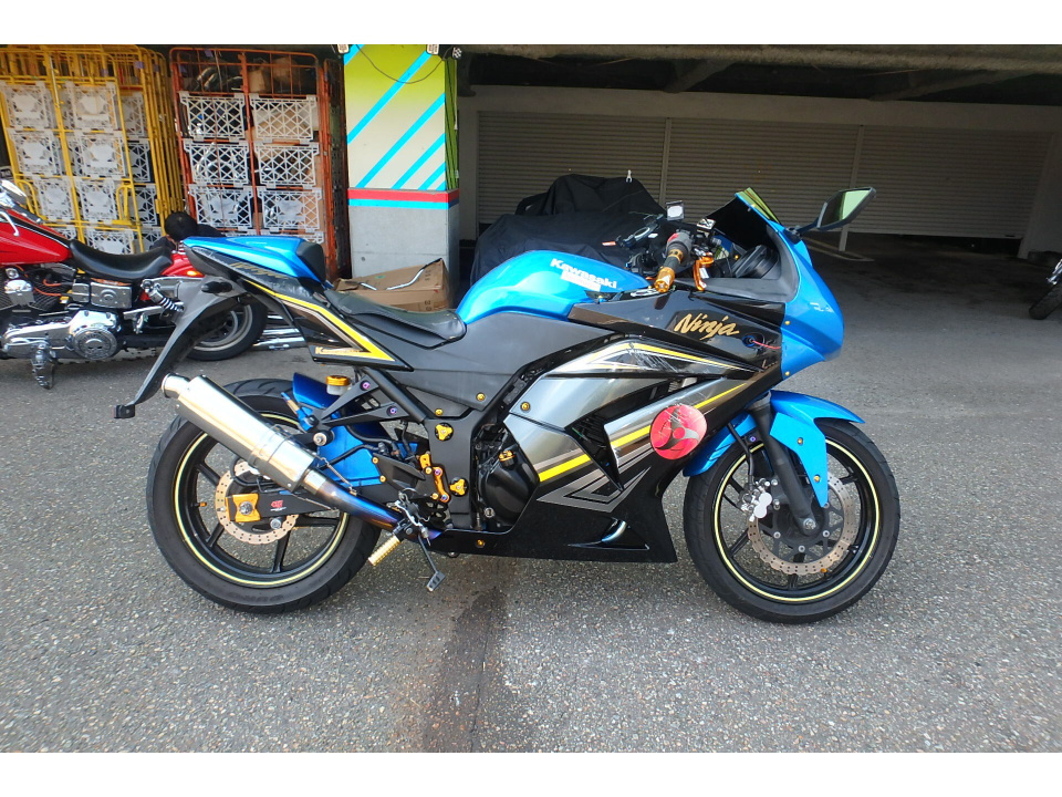 Kawasaki NINJA250R 2010