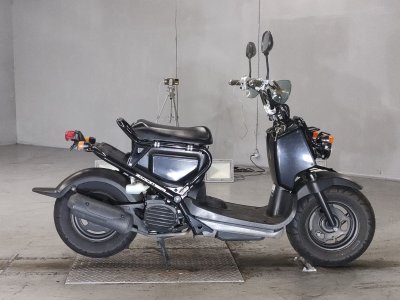Honda ZOOMER 2006