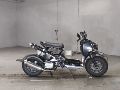 Honda ZOOMER 2004