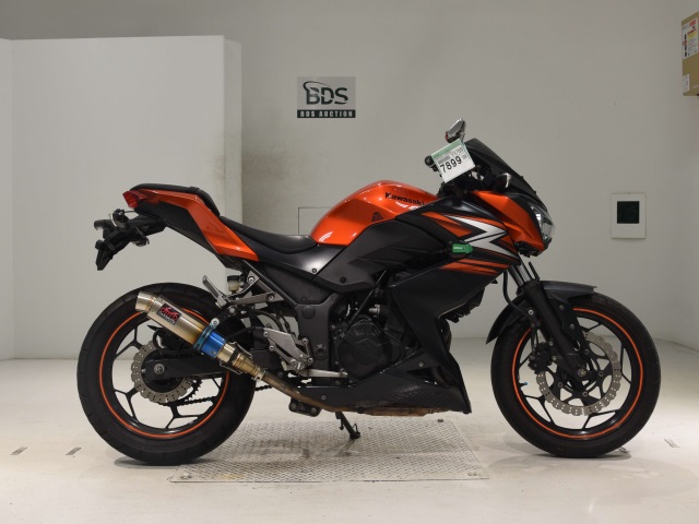 Kawasaki Z250 2014