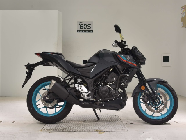 Yamaha MT-25 2022