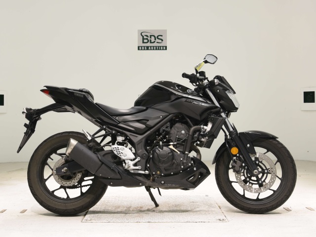 Yamaha MT-25 2018