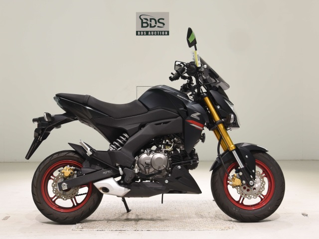 Kawasaki Z125 PRO 2021