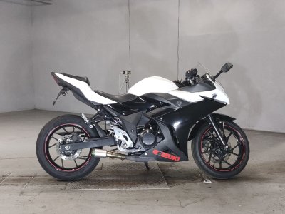 Suzuki GSX250R