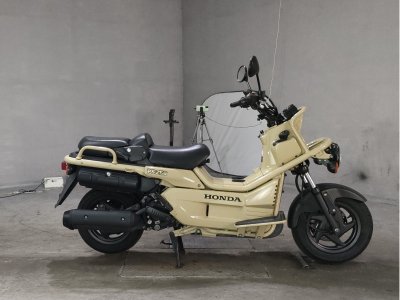 Honda PS250 BIG RUCKUS 2006