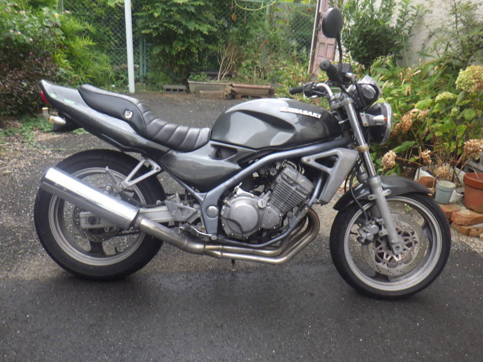 Kawasaki BALIUS ZR250 1991